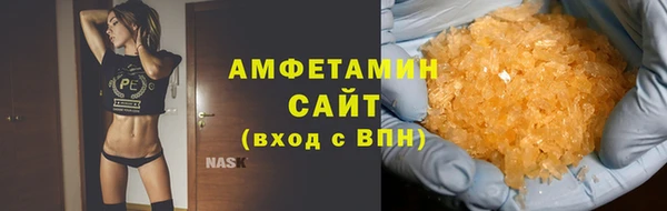 ГАЛЛЮЦИНОГЕННЫЕ ГРИБЫ Богданович